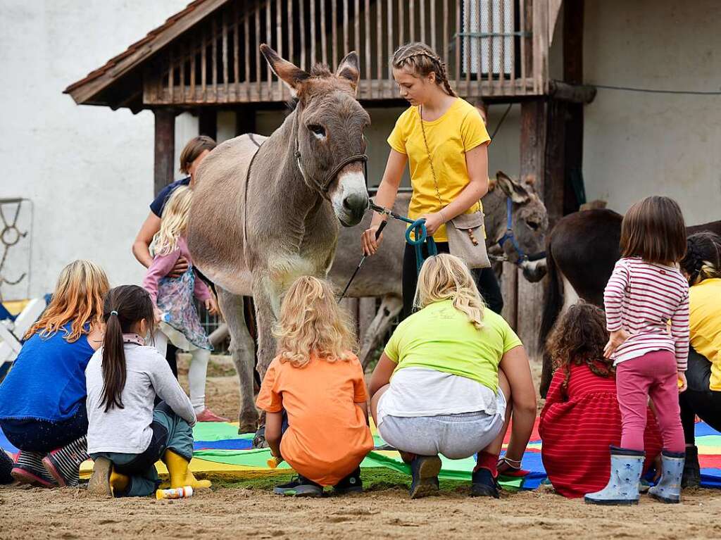 Eselfest auf dem Mundenhof