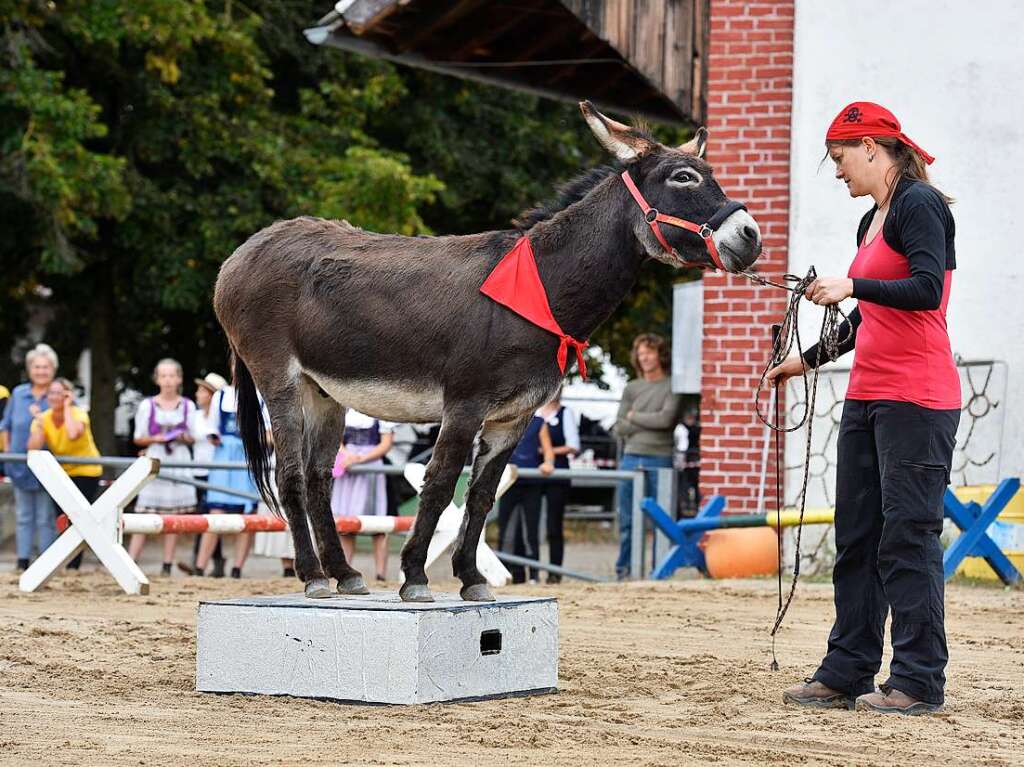 Eselfest auf dem Mundenhof