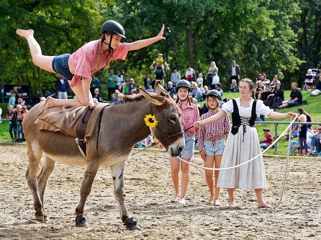 Eselfest auf dem Mundenhof