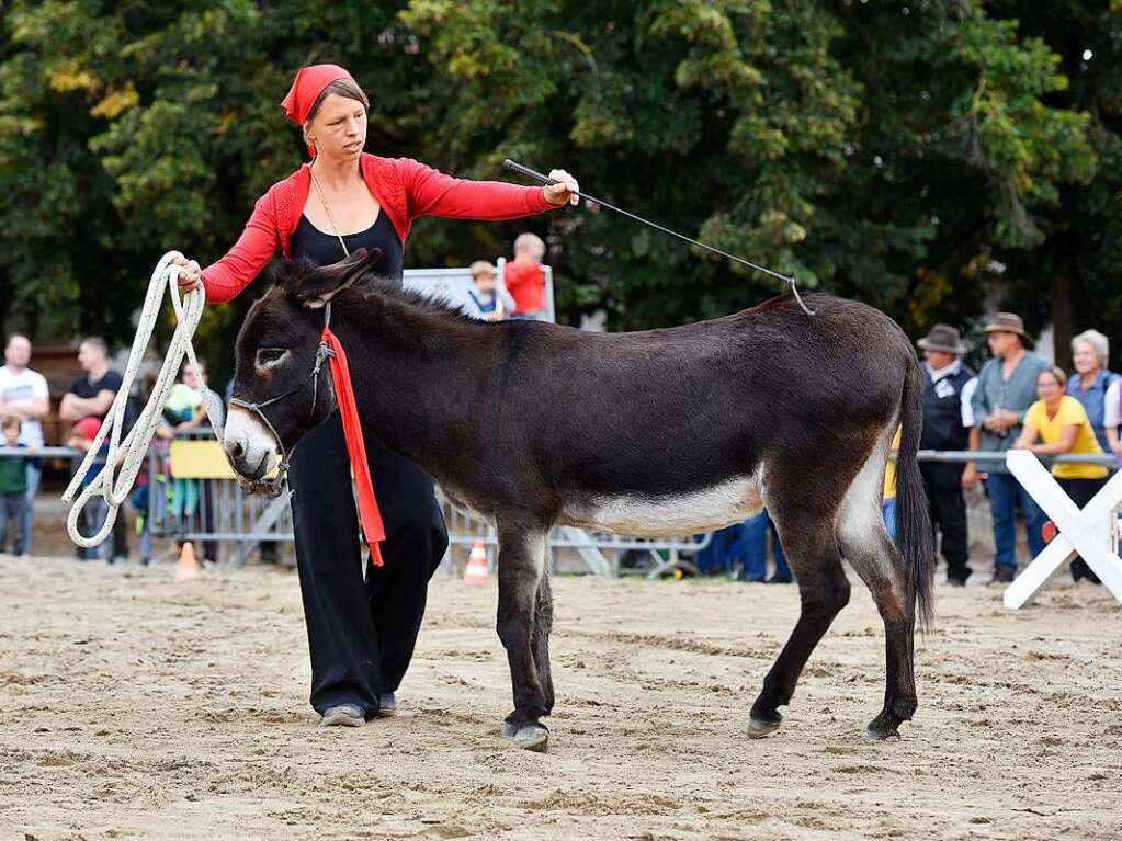 Eselfest auf dem Mundenhof