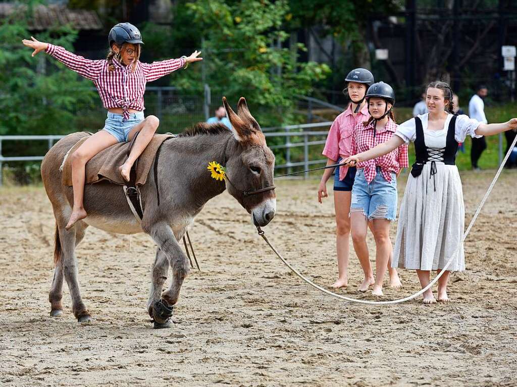 Eselfest auf dem Mundenhof