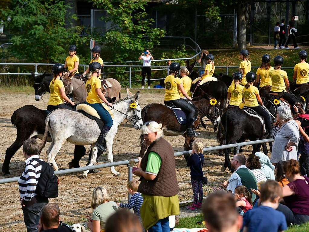 Eselfest auf dem Mundenhof