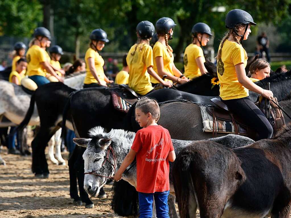 Eselfest auf dem Mundenhof