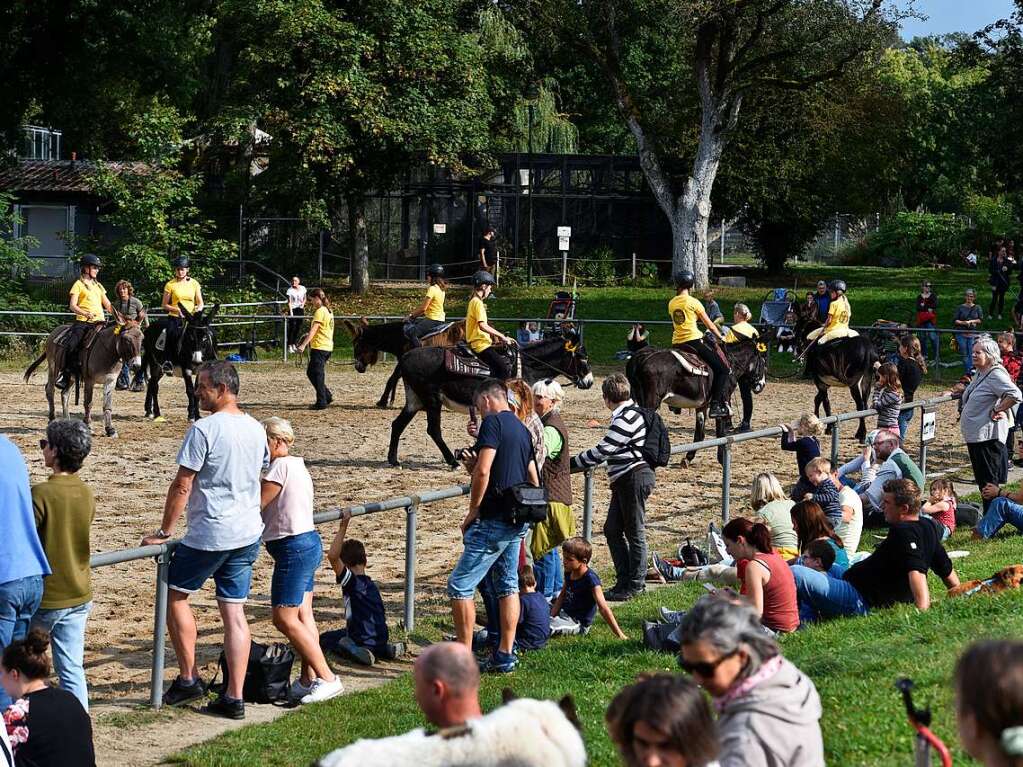 Eselfest auf dem Mundenhof