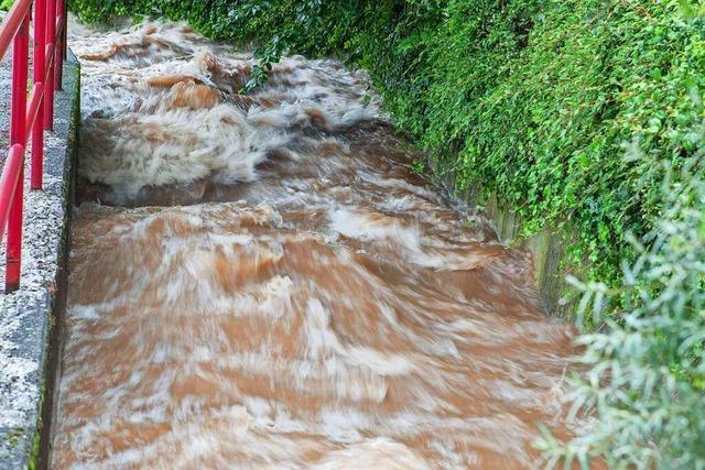 Spezial-Konto fr Hochwasserschutz in Waldkirch