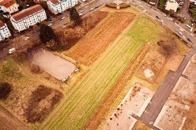 Gundelfingen prsentiert Ergebnisse zu Ngelesee-Umfrage