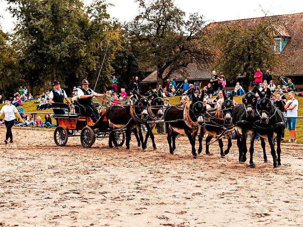 Eselfest auf dem Mundenhof