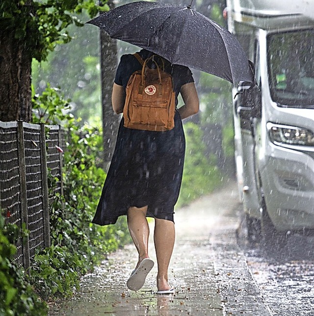 Wenn es stark regnet, soll das mglichst nicht zum Problem werden.  | Foto: Lisa Ducret (dpa)