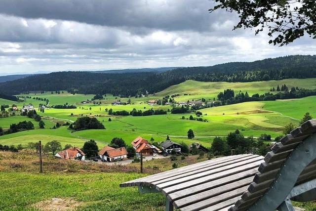 Panorama-Tour mit dem E-Bike: Schne Aussichten bei St. Blasien