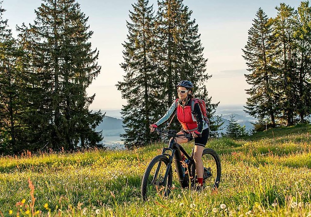 Die schnsten E-Bike-Touren in Sdbaden stellt die BZ in einer Serie vor.  | Foto: BZ