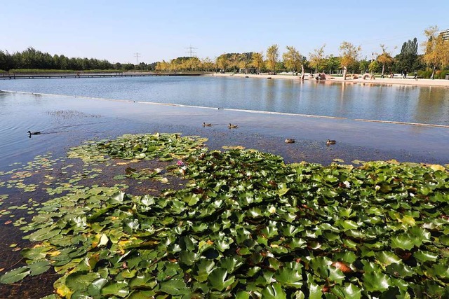 Um den Wasserverlust im Stegmattensee auszugleichen, wird weiterhin nachgepumpt.  | Foto: Christoph Breithaupt