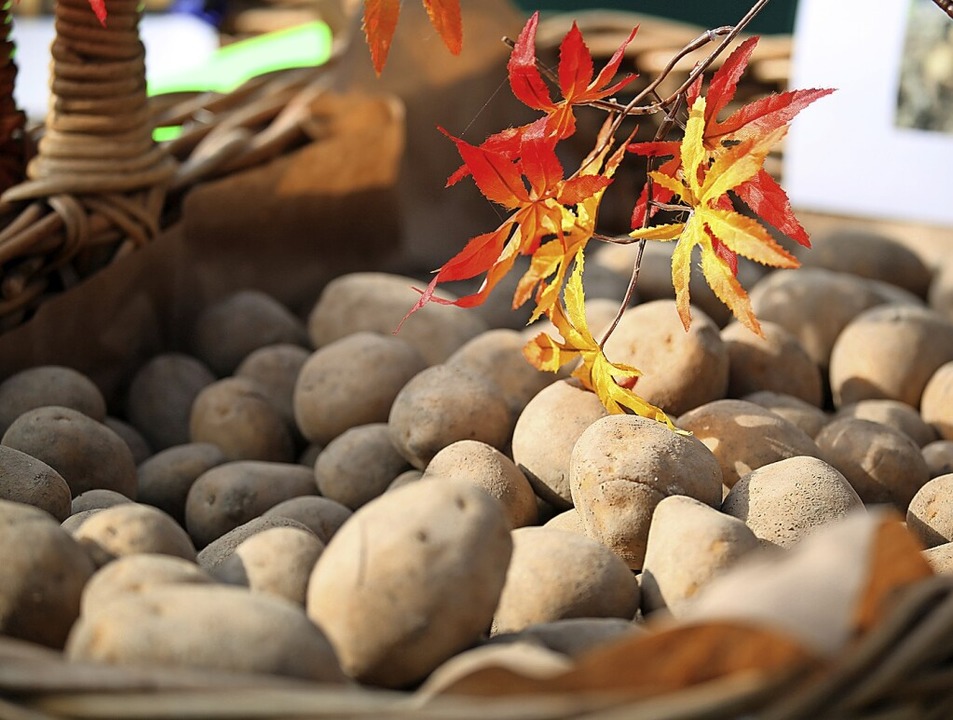Der beliebte Kartoffelmarkt kehrt aus der Pandemie-Pause zurück.  | Foto: Stadt Neuenburg