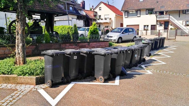 Auch die Einwohner in Riegel mssen im...ausmlls tiefer in die Tasche greifen.  | Foto: Martin Wendel