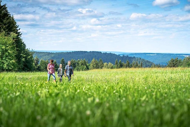 Der Hotzenwald als Touristenziel litt weniger unter Corona als erwartet.  | Foto: Joachim Gerstner (dpa)