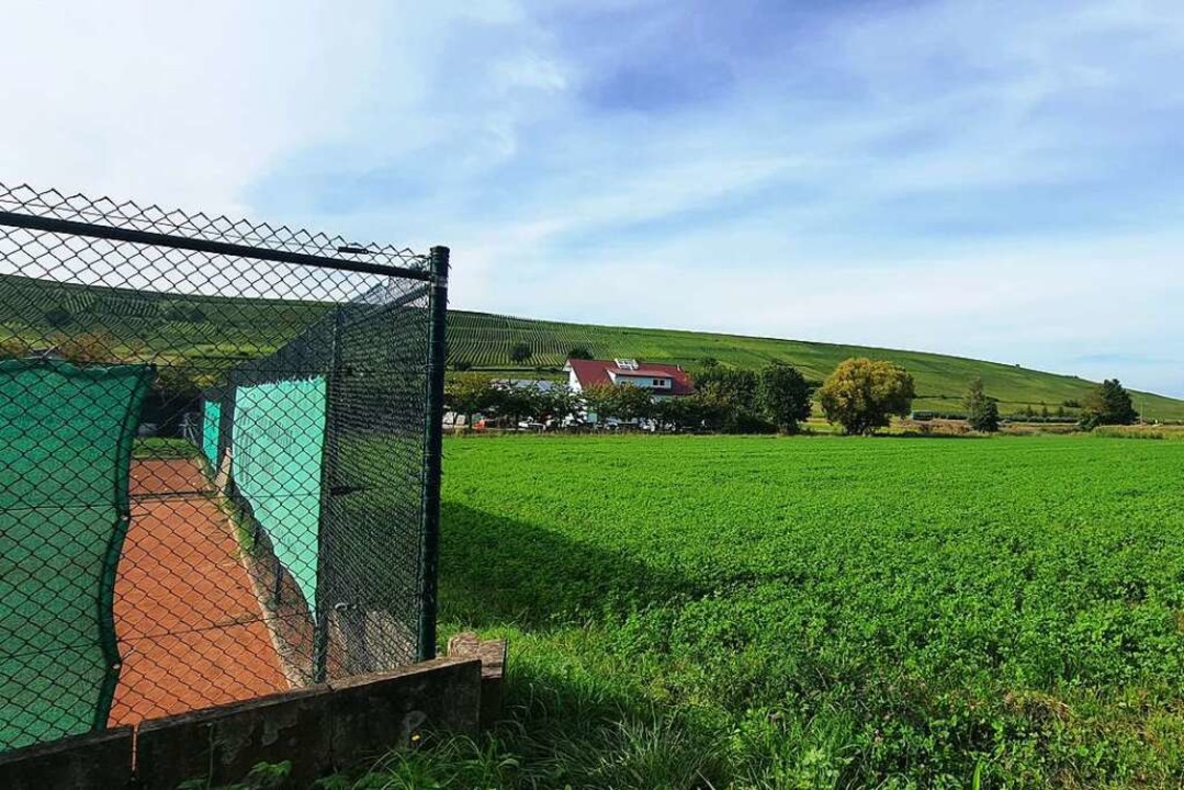 Bei den Tennisplätzen soll ein Gewerbe... Ortsrand von Pfaffenweiler entstehen.  | Foto: Julius Wilhelm Steckmeister