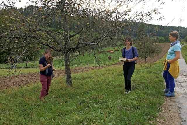 Wissenswertes �ber Streuobstwiesen