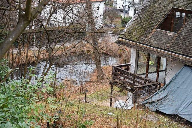 Warum die Stadt Lörrach Bauanträge am Krottenweiher nicht einfach ablehnen kann