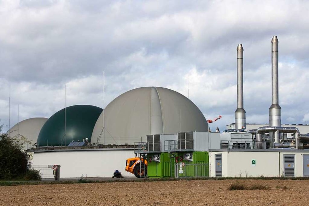 Wird die Biogasanlage Binder zukünftig auch Forchheims Heizkraftwerk?  | Foto: Christiane Franz
