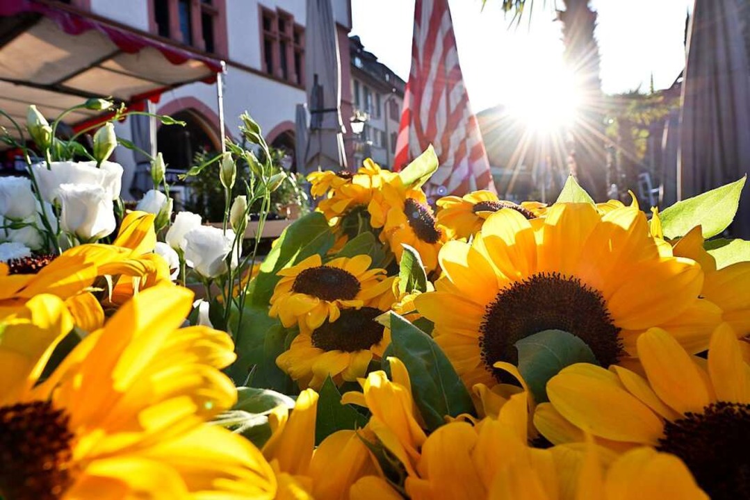 Sonnenblumen auf dem Münstermarkt  | Foto: Thomas Kunz