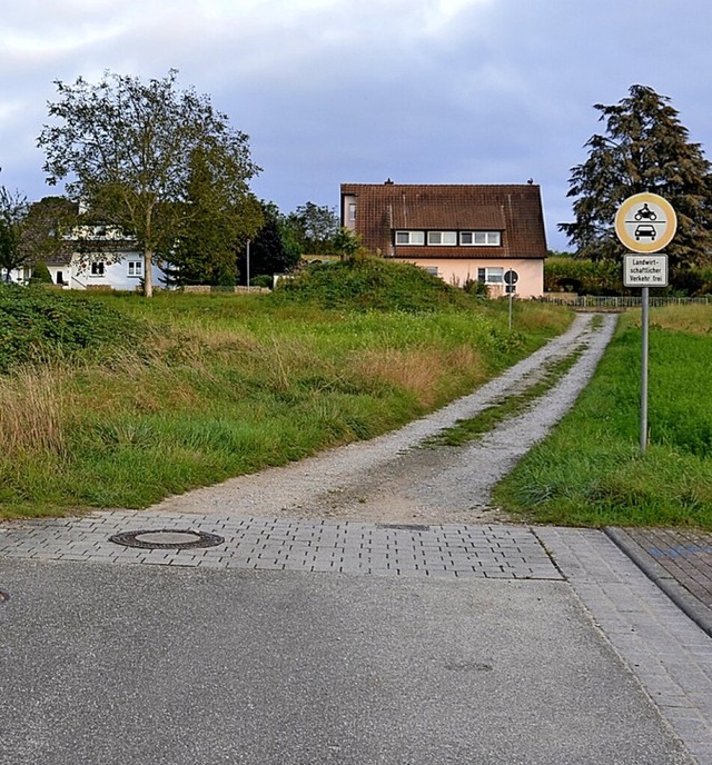 Links und rechts des Weges in Norsingen soll gebaut werden.  | Foto: Sophia Hesser