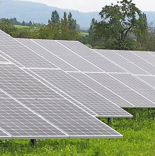 Solarpark in Eimeldingen  | Foto: Herbert Frey