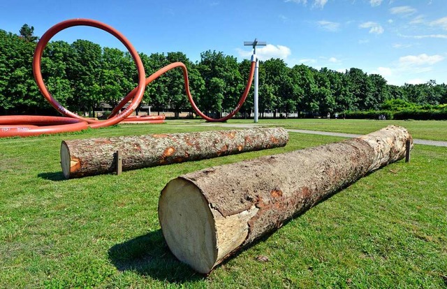 Baumstmme als Sitzpltze wurden im Sommer im Eschholzpark installiert.  | Foto: Michael Bamberger