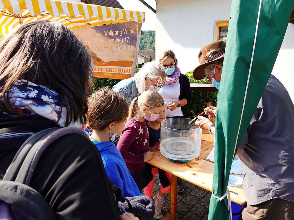 Impressionen vom Naturparkmarkt in Wallbach