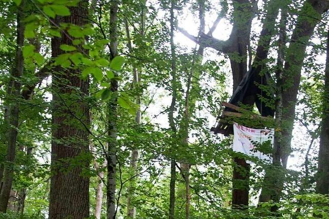 Waldaktivisten besetzen Bäume im Müllheimer Eichwald