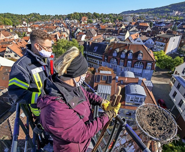 So hnlich wie auf diesem Archivbild w...das Storchenturm-Nest gereinigt wird.   | Foto: Wolfgang Hoffmann