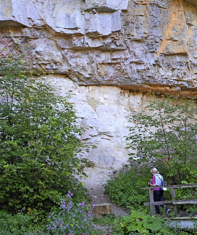 Am Felsenweiher ist der markante berg...ten Oberen Muschelkalk schn zu sehen.  | Foto: Friedbert Zapf