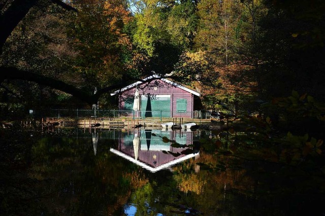 Waldsee.  | Foto: Stefan Bohnenkmper