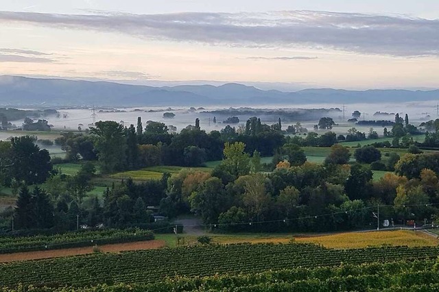 Das Gewann Sausenberg bei Btzingen.  | Foto: Antje Brodbeck