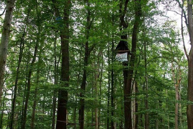Stadt Müllheim schreitet vorerst nicht gegen Waldbesetzer im Eichwald ein