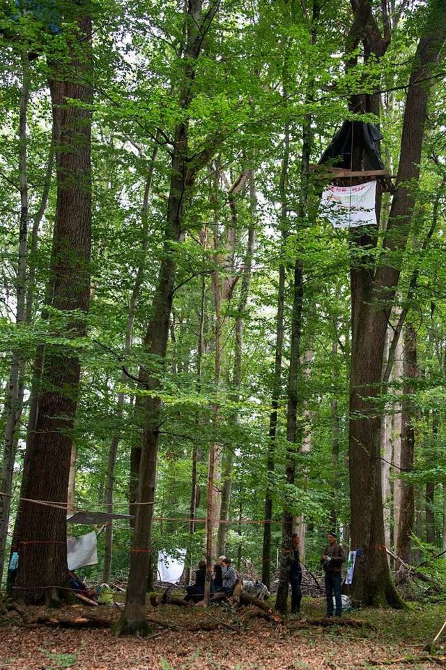 Das Camp im Eichwald wurde am Wochenende aufgebaut.  | Foto: Volker Mnch