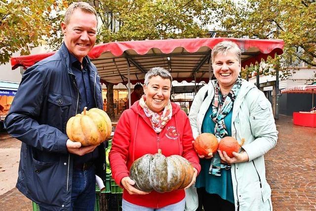 Die Kürbisse fürs Lörracher Herbstfest müssen dieses Jahr zu Hause geschnitzt werden