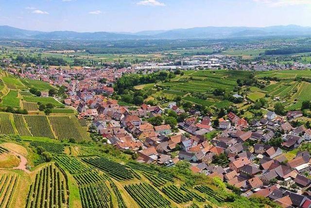 Sommer-Touren fr Daheimgebliebene