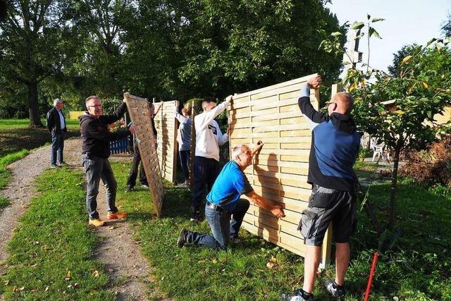 Wie Pächter und Kommunalpolitik in Sasbach die Kleingärten mit dem Baurecht in Einklang bringen wollen