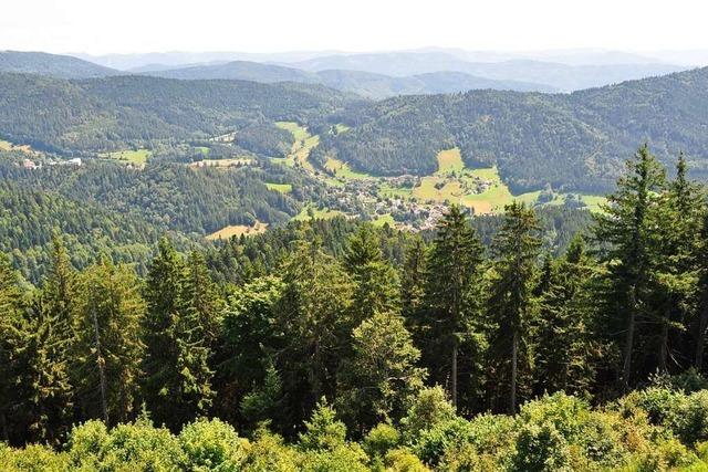 Schwarzwaldvereine knnen sich Mitgliederschwund nicht erklren