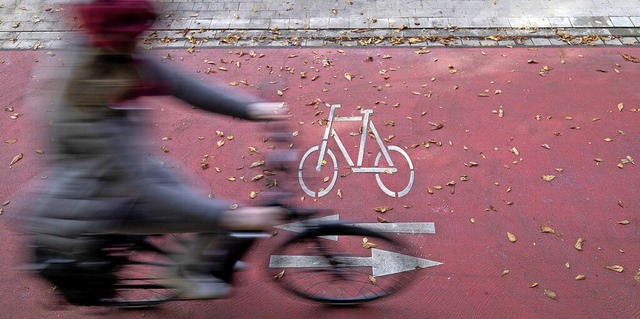 Mehr Radwege sollen in Titisee-Neustad...Konzept soll bei der Umsetzung helfen.  | Foto: Friso Gentsch (dpa)