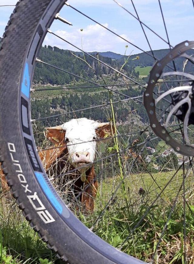 Schwarzwald-Hoch: Coole Khe passen pe...einem Traumtag auf dem E-Mountainbike.  | Foto: Johannes Bachmann
