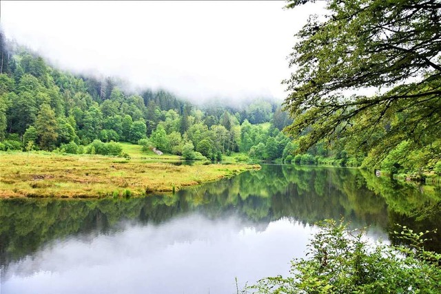 Mit dem Nonnenmattweiher kann die Geme...Kleines Wiesental touristisch punkten.  | Foto: Angelika Schmidt