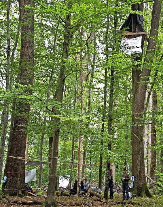 Das Camp im Eichwald wurde am letzten Wochenende aufgebaut.  | Foto: Volker Münch