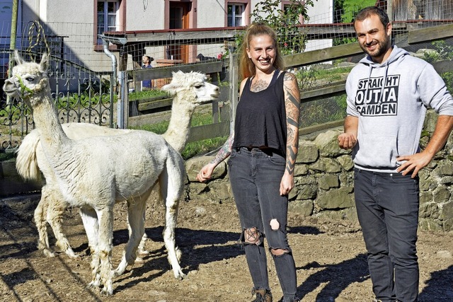 Sven Steiert und Julie Kosak bringen v...schaffung der Alpakas Pedro und Oscar.  | Foto: Michael Bamberger