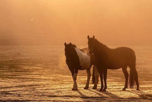 Fotos: Schnes Herbstwetter in Deutschland