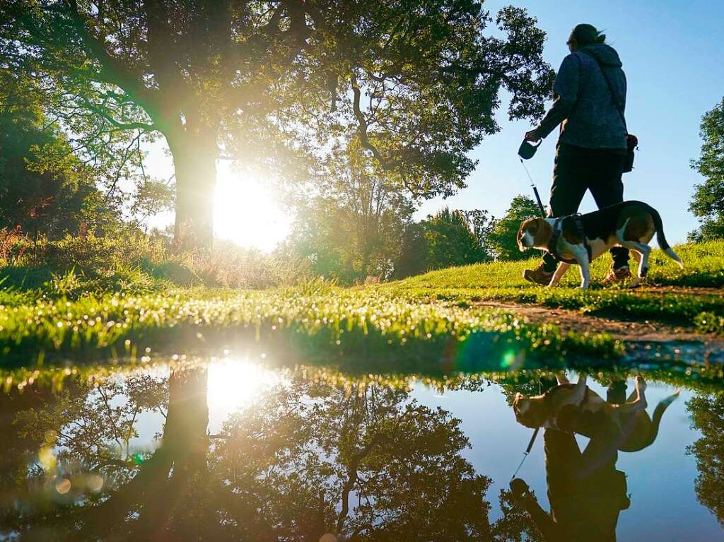 Bunt statt grau – so kann der Herbst in Deutschland sein.