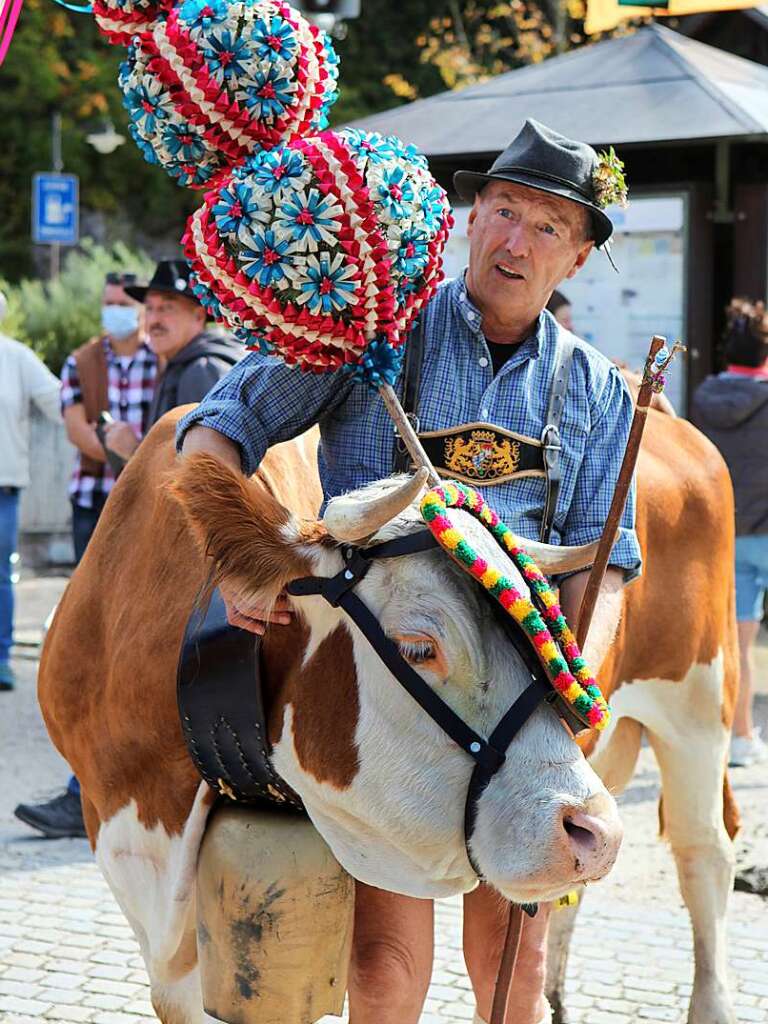 Bunt statt grau – so kann der Herbst in Deutschland sein.