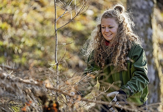 Freiwillig helfen im Wald, und das wh...Urlaubs, ist am Rohrhardsberg mglich.  | Foto: Sebastian Schrder-Esch