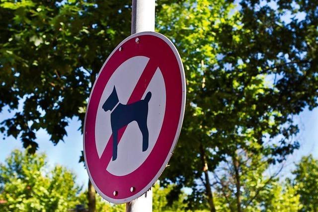 Der Stadtgarten soll ab 2022 fr Hunde tabu sein