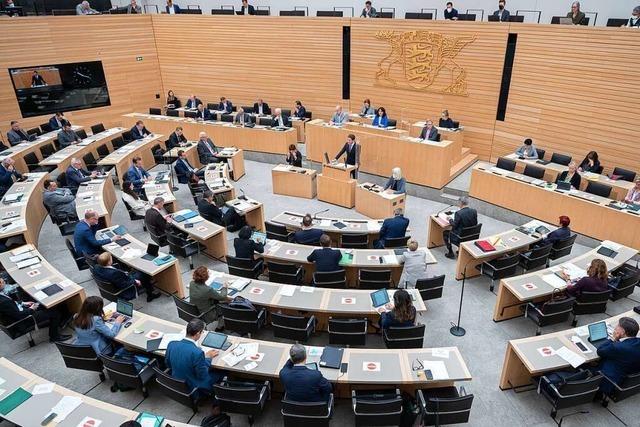 Baden-Wrttembergs FDP will weniger Wahlkreise im Land