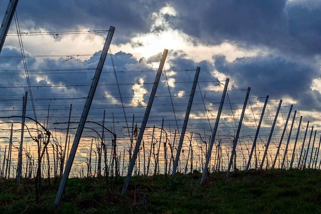 ber Heitersheims  Reben braut sich wieder mal  was zusammen.  | Foto: Alexander Huber